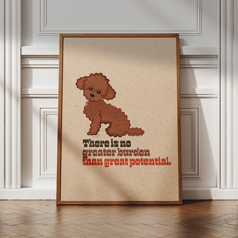 toy-poodle