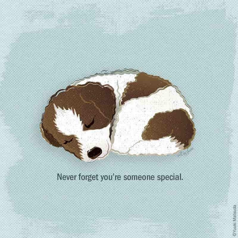 jack-russell-terrier