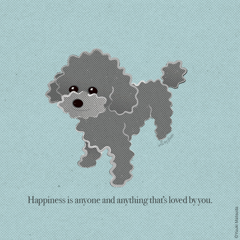 toy-poodle