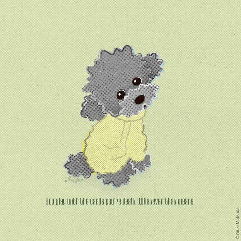 toy-poodle